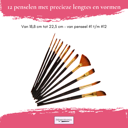 12-delige Penseelset