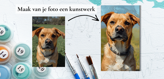 schilderen op nummer met eigen foto
