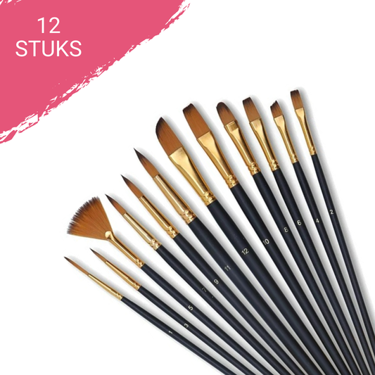 Set van 12 professionele penselen met zwarte steel en goudkleurige ferrule, geschikt voor acrylverf en schilderen op nummer