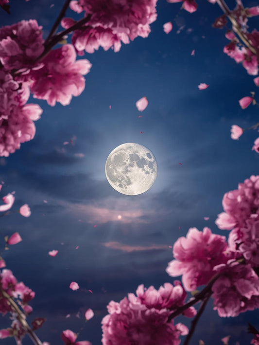 HobbyMania Originals - Sakura bij Volle Maan 40x50 cm